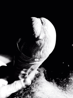 Il mio cazzo Parte 115