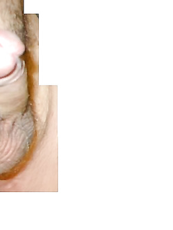 Il mio amico..............