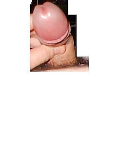 Il mio amico..............