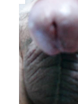 Il mio amico..............