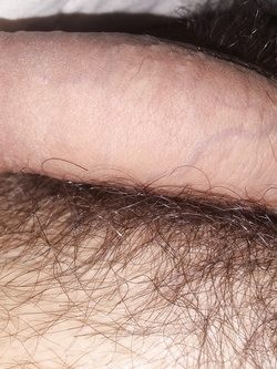 Il mio cazzo Parte 1