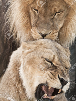 Il mio gicattolone Parte 2