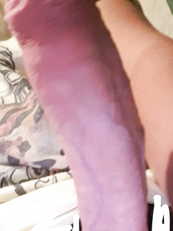 Vi piace il mio amico?