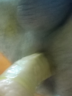 cerco maturi a taranto posso ospitare