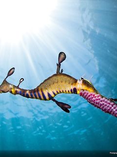 Raccontandovi in breve come sono