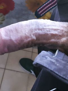 Martino Porcellino 3