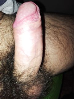 il mio ................................