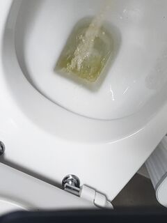 Veneto Treviso solo donne