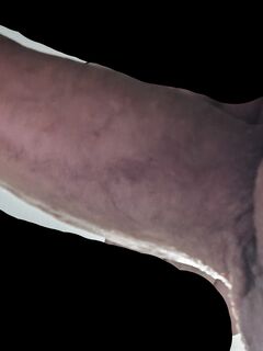 Le vacanze son finite